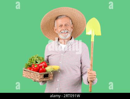 Reifer männlicher Farmer mit Korb voller reifer Gemüsesorten und Schaufel auf grünem Hintergrund Stockfoto