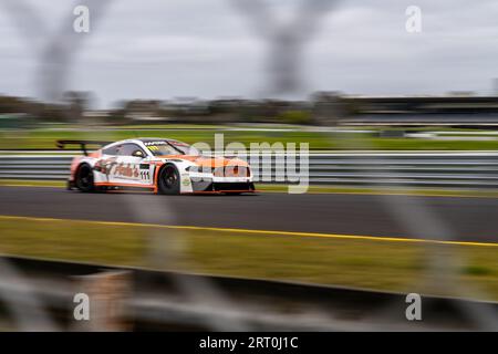 Sandown Park, Australien. 10. September 2023. Grant Donaldson rennt in seinem MARC Mustang geradeaus den Rücken hinunter. Quelle: James Forrester/Alamy Live News Stockfoto