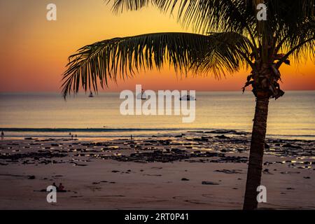 Palme bei Sonnenuntergang am Cable Beach in Broome, Western Australia Stockfoto