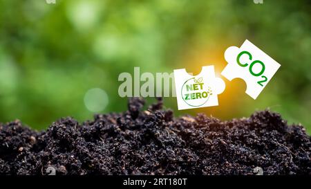 Konzept zur Reduzierung der CO2-Emissionen, saubere und umweltfreundliche Umwelt ohne Kohlendioxidemissionen. Pflanzen von Bäumen zur Verringerung der CO2-Emissionen, Umwelt Stockfoto