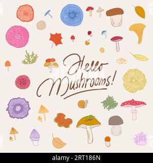 Hallo Pilze handgeschriebener Text und Pilze Illustration Set. Stock Vektor