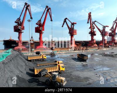 Lianyungang, China. September 2023. LIANYUNGANG, CHINA - 10. SEPTEMBER 2023 - große Maschinen stapeln und lagern Elektrokohle, die gerade von einem Frachtschiff am Port Coal Terminal in Lianyungang, Provinz Jiangsu, am 10. September 2023 entladen wurde. (Foto von Costfoto/NurPhoto) Credit: NurPhoto SRL/Alamy Live News Stockfoto