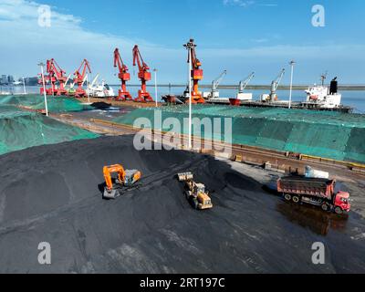 Lianyungang, China. September 2023. LIANYUNGANG, CHINA - 10. SEPTEMBER 2023 - große Maschinen stapeln und lagern Elektrokohle, die gerade von einem Frachtschiff am Port Coal Terminal in Lianyungang, Provinz Jiangsu, am 10. September 2023 entladen wurde. (Foto von Costfoto/NurPhoto) Credit: NurPhoto SRL/Alamy Live News Stockfoto