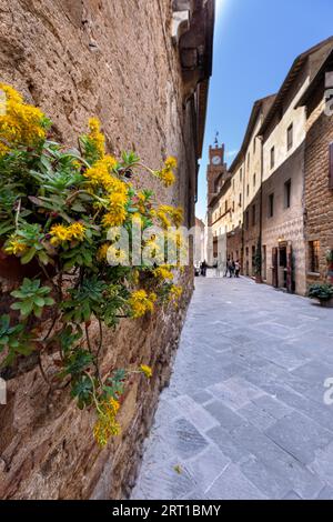 Straße in der Altstadt von Pienza in Val d Orcia, Toskana, Italien Stockfoto