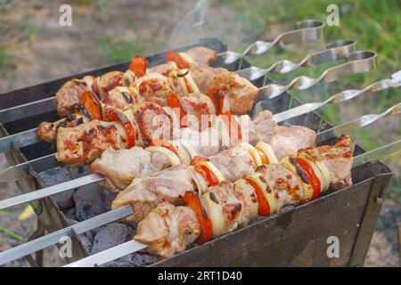 Gegrillte Fleischstücke auf Spießen, Kebab mit Gemüse, Kochvorgang auf Feuer, auf Brazier. Gebratenes mariniertes Fleisch, gegrillt, Picknick Stockfoto