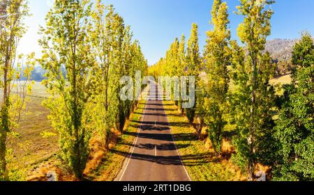 Der legendäre Gould Memorial Drive in herbstlichen Farben auf der Buxton-Marysville Rd in der Nähe der ländlichen Stadt Marysville in Victoria, Australien Stockfoto