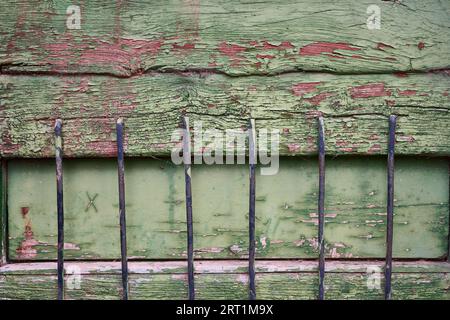 Detail einer alten Holztür mit Metallstangen und rissiger grüner Farbe Stockfoto