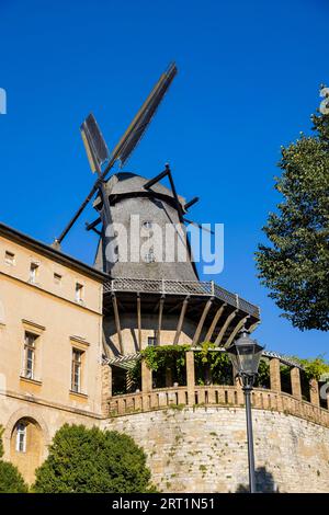Der Sanssouci Park ist Teil des Ensembles Potsdamer Schlosspark. Historische Mühle von Sanssouci, restaurierte Windmühle aus dem 18. Jahrhundert mit Exponaten Stockfoto