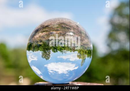 Glaskugelfotografie im Naturschutzgebiet Wahner Heide Stockfoto