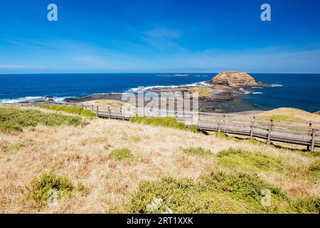 Die Nobbies und die umliegende Landschaft an einem warmen Sommertag in Philip Island, Victoria, Australien Stockfoto