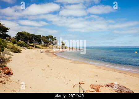 Cowes Foreshore mit seinem berühmten Steg und Strand an einem warmen Sommertag in Philip Island, Australien Stockfoto
