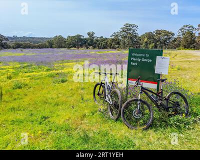 Plenty Gorge, Australien, 19. September 2020: Mountainbike-Strecken rund um den Plenty Gorge State Park im Norden von Melbourne in Victoria, Australien Stockfoto