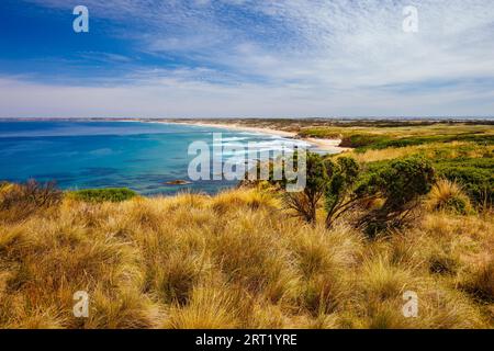 Der berühmte Cape Woolamai Surf Beach und Cowrie Patch Beach von Pinnacles Lookout auf Phillip Island, Victoria, Australien Stockfoto