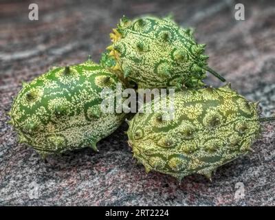 Kiwano, Horngurke Stockfoto