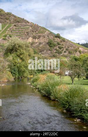 Die Ahr im Ahrtal bei Dernau Stockfoto