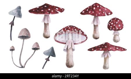 Fliegenpilz agarisch mit magischer Textur isoliert auf weißem Hintergrund. Aquarell Hand gezeichnet Amanita Pilz Skizze iIllustration. Kunstdesign Stockfoto
