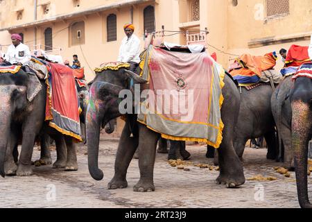 Jaipur, Indien, 12. Dezember 2019: Dekorierte Elefanten warten auf Touristen im Amber Fort Stockfoto