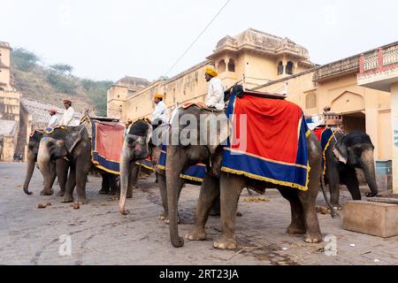 Jaipur, Indien, 12. Dezember 2019: Dekorierte Elefanten warten auf Touristen im Amber Fort Stockfoto