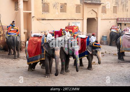 Jaipur, Indien, 12. Dezember 2019: Dekorierte Elefanten warten auf Touristen im Amber Fort Stockfoto