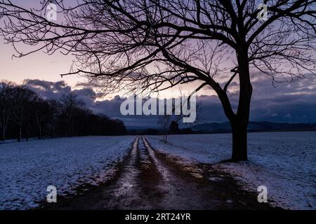 Einfallendes Gewitter über Pirna, dunkle Wolken mit starken Schneeschauern sorgen für einen kurzen, aber schweren Wintereinbruch Stockfoto