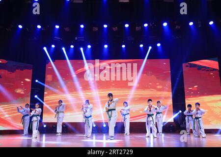 Luannan County - 29. Januar 2019: Children Wushu Kungfu Performance on the Stage, Luannan County, Provinz Hebei, China Stockfoto