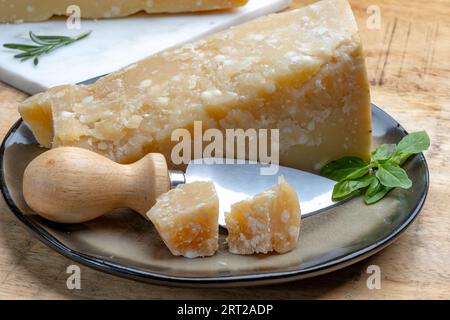 Käsesammlung, hartgereifter gelber italienischer Käseparmesan oder parmigiano reggiano aus nächster Nähe Stockfoto