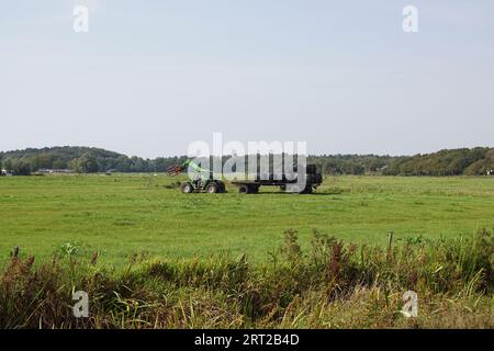 Holländische Wiesenlandschaft mit Dünen in der Ferne. Traktor, Anhänger, Heuballen. Blauer Himmel. Spätsommer, September, Niederlande. Stockfoto