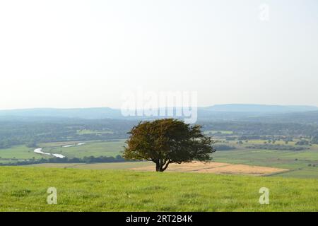 Blick vom Springhead Hill, zwischen Rackham und Kithurst Hill auf dem South Downs Way in der Nähe von Amberley und Storrington. Fluss Arun in mittlerer Entfernung Stockfoto