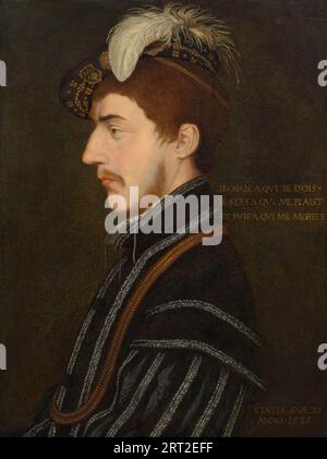 Porträt von Sir Nicholas Poyntz (1510-1556) im Alter von 25 Jahren, 1535. Private Sammlung. Stockfoto