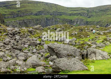 Felsen und Vegetation auf dem Trail nach Coumshingaun Lough, Waterford, Irland Stockfoto