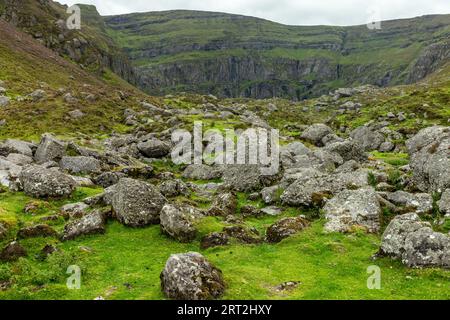 Felsen und Vegetation auf dem Trail nach Coumshingaun Lough, Waterford, Irland Stockfoto