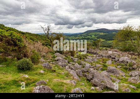 Felsen und Vegetation auf dem Trail nach Coumshingaun Lough, Waterford, Irland Stockfoto