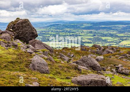 Felsen und Vegetation auf dem Trail nach Coumshingaun Lough, Waterford, Irland Stockfoto