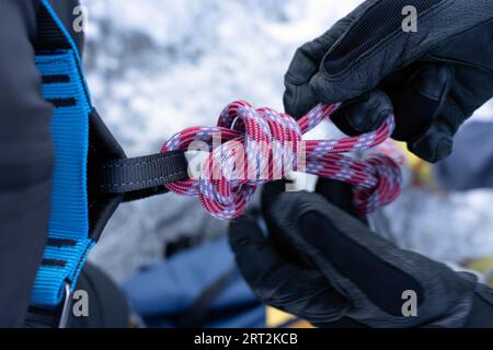Bergsteiger, die das Klettergurt tragen und das Kletterseil knüpfen, um den Berggletscher zum Gipfel zu erklimmen. Nahaufnahme der Details. Gran Paradiso Nationalpark. Stockfoto