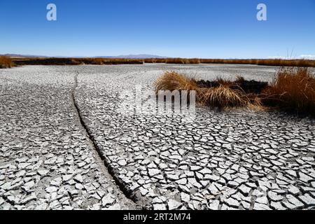 Titicacasee, BOLIVIEN; 9. September 2023: Ein Fahrradweg über das vertrocknete Ufer des inneren Sees / Huiñay Marka (der kleinere Teil des Titicacasees) bei Puerto Guaqui. Während der Trockenzeit verbrennen die Einheimischen regelmäßig das alte tote Schilf, um neues Wachstum zu fördern. Die Asche vermischt sich mit dem Schlamm, wenn der Wasserstand mit der Regenzeit steigt. In der normalen Trockenzeit hätte dieser Teil des Ufers normalerweise noch Wasser und lebende Schilfbetten anstatt ausgetrockneten Schlamm. Der Wasserstand im Titicacasee liegt nahe am Rekordtief von 1996 Stockfoto