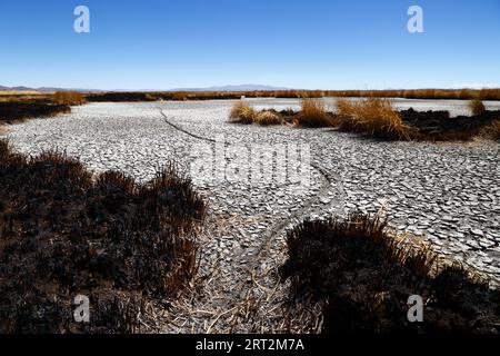 Titicacasee, BOLIVIEN; 9. September 2023: Ein Fahrradweg über das vertrocknete Ufer des inneren Sees / Huiñay Marka (der kleinere Teil des Titicacasees) bei Puerto Guaqui. Während der Trockenzeit verbrennen die Einheimischen regelmäßig das alte tote Schilf, um neues Wachstum zu fördern. Die Asche vermischt sich mit dem Schlamm, wenn der Wasserstand mit der Regenzeit steigt. In der normalen Trockenzeit hätte dieser Teil des Ufers normalerweise noch Wasser und lebende Schilfbetten anstatt ausgetrockneten Schlamm. Der Wasserstand im Titicacasee liegt nahe am Rekordtief von 1996 Stockfoto