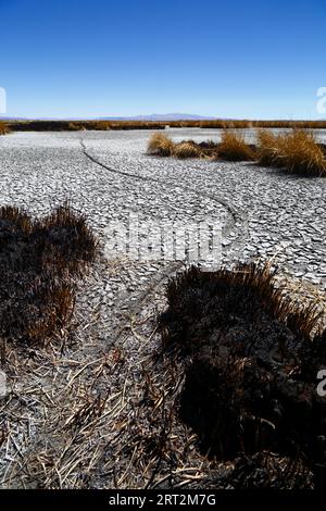 Titicacasee, BOLIVIEN; 9. September 2023: Ein Fahrradweg über das vertrocknete Ufer des inneren Sees / Huiñay Marka (der kleinere Teil des Titicacasees) bei Puerto Guaqui. Während der Trockenzeit verbrennen die Einheimischen regelmäßig das alte tote Schilf, um neues Wachstum zu fördern. Die Asche vermischt sich mit dem Schlamm, wenn der Wasserstand mit der Regenzeit steigt. In der normalen Trockenzeit hätte dieser Teil des Ufers normalerweise noch Wasser und lebende Schilfbetten anstatt ausgetrockneten Schlamm. Der Wasserstand im Titicacasee liegt nahe am Rekordtief von 1996 Stockfoto