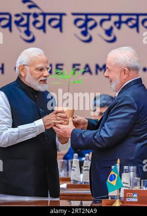 New Delhi, Indien. September 2023. Der brasilianische Präsident Luiz Inacio Lula da Silva, rechts, präsentiert dem indischen Premierminister Narendra Modi, links, während des G20-Gipfels im Bharat Mandapam Convention Center, 10. September 2023 in Neu-Delhi, Indien, einen Baumspitz. Die symbolische Geste steht für den Baum des Übergangs, der den offiziellen Übergang der G20-Präsidentschaft nach Brasilien kennzeichnet. Dank: Ricardo Stuckert/Präsident Brasilien/Alamy Live News Stockfoto