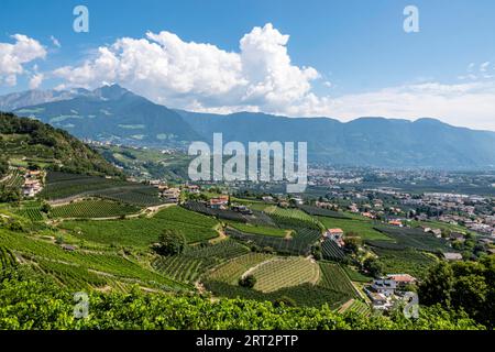 Blick auf Meran, Dorf Tirol, Etschtal und Weinberge, Suedtirol, Italien, schauen Sie sich Meran, Dorf Tirol, etschtal und Weinberge, Südtirol an Stockfoto