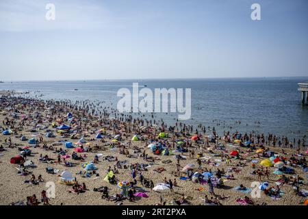 SCHEVENINGEN - Strandurlauber möchten sich am Meer abkühlen. Im September wurden bereits mehrere Datumsheizrekorde mit tropischen Temperaturen gebrochen. Mit einer Temperatur von 28,4 Grad in de Bilt war der letzte Samstag der wärmste 9. September seit Beginn des letzten Jahrhunderts. ANP ROBIN UTRECHT niederlande aus - belgien aus Stockfoto