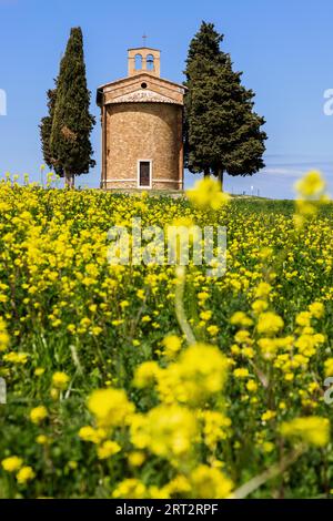 Die berühmte Kapelle Cappella della Madonna di Vitaleta im Frühjahr in Val d Orcia, Toskana, Italien Stockfoto