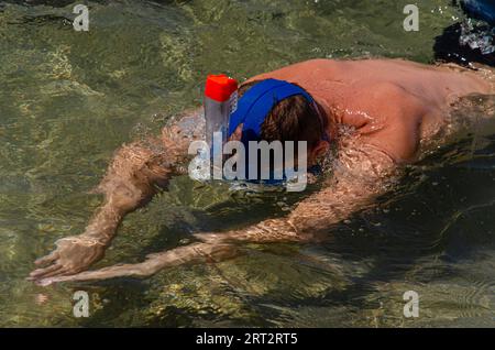 Ein Schnorchelschwimmer. Ein Mann, der im Meer schnorchelt. Stockfoto