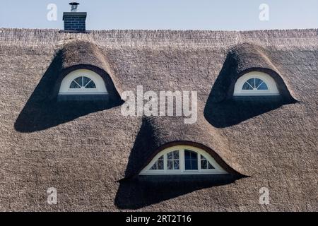 Seedorf ist ein Dorf der Gemeinde Sellin auf der Ostseeinsel Rügen in Mecklenburg-Vorpommern Stockfoto