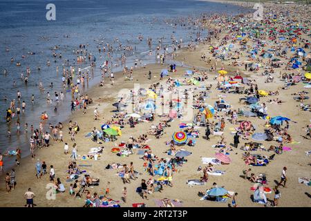 SCHEVENINGEN - Strandurlauber möchten sich am Meer abkühlen. Im September wurden bereits mehrere Datumsheizrekorde mit tropischen Temperaturen gebrochen. Mit einer Temperatur von 28,4 Grad in de Bilt war der letzte Samstag der wärmste 9. September seit Beginn des letzten Jahrhunderts. ANP ROBIN UTRECHT niederlande aus - belgien aus Stockfoto