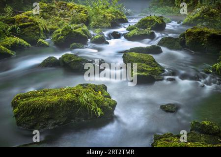 Der Trieb ist ein rechter Nebenfluss der Weißen Elster. Der Trieb ist über eine Länge von 5,8 km zum Damm Poehl gestaut. Nach dem Durchfließen des Stockfoto