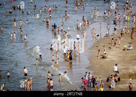 SCHEVENINGEN - Strandurlauber möchten sich am Meer abkühlen. Im September wurden bereits mehrere Datumsheizrekorde mit tropischen Temperaturen gebrochen. Mit einer Temperatur von 28,4 Grad in de Bilt war der letzte Samstag der wärmste 9. September seit Beginn des letzten Jahrhunderts. ANP ROBIN UTRECHT niederlande aus - belgien aus Stockfoto