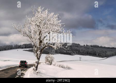 Das Thüringer Schiefergebirge, auch als Thüringer Schiefergebirge bekannt, ist ein Mittelgebirge in Thüringen mit einem Maximum Stockfoto