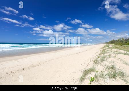 Die idyllische Dreamtime Beach in der Nähe von Fingal Kopf in New South Wales, Australien Stockfoto