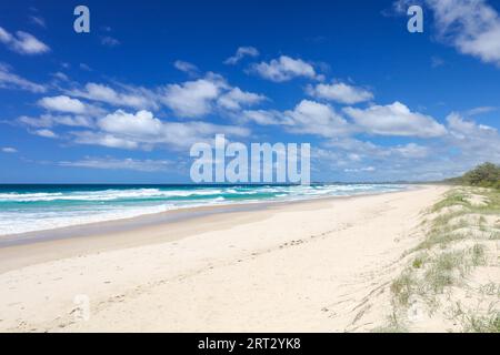 Die idyllische Dreamtime Beach in der Nähe von Fingal Kopf in New South Wales, Australien Stockfoto