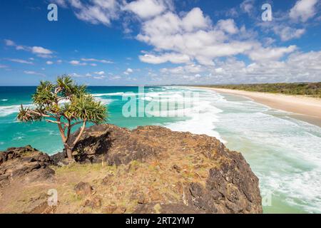 Die idyllische Dreamtime Beach in der Nähe von Fingal Kopf in New South Wales, Australien Stockfoto